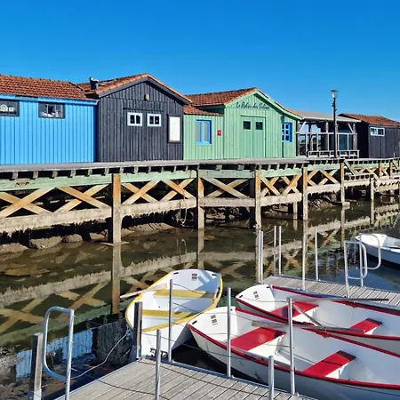 Gorgeous In With Wifi Royan