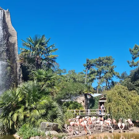 Σπίτι διακοπών Gorgeous In With Wifi Ρουαγιάν