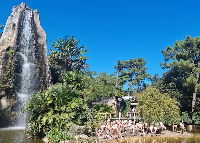 Сasa de vacaciones Gorgeous In With Wifi Royan